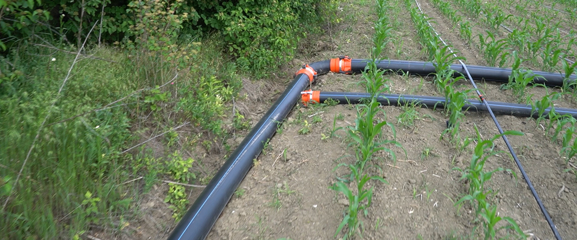 Optimizează sistemul agricol